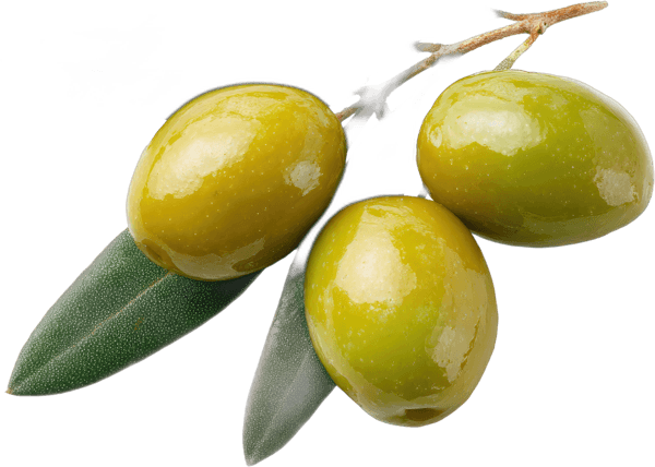 Olives