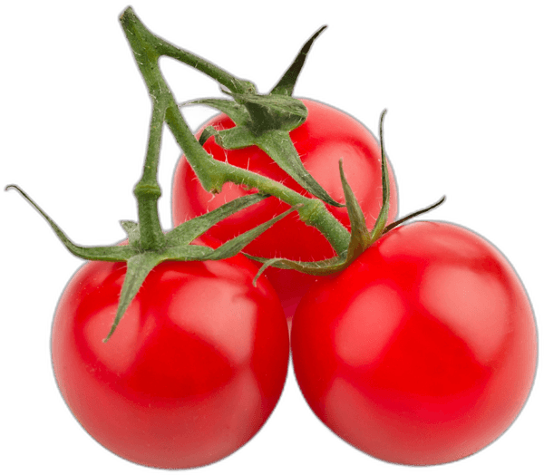 Tomates en grappe